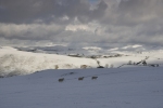 ABOVE PENRHYNCOCH