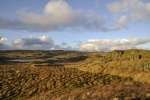 TEIFI POOLS