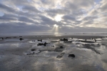 YNYSLAS SUNKEN FOREST