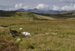 MOELWYNION MOUNTAINS